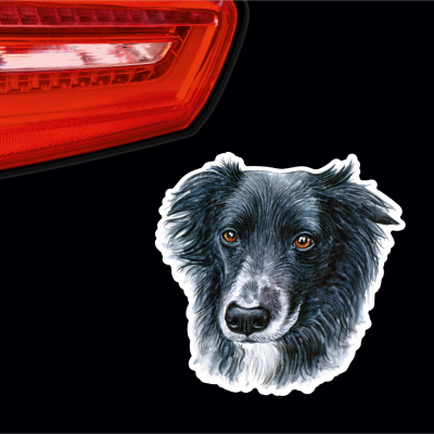 Border Collie Aufkleber Bunt - Ansicht 2