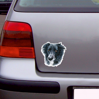 Border Collie Aufkleber Bunt - Ansicht 3
