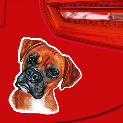 Boxer Aufkleber Bunt - Ansicht 2