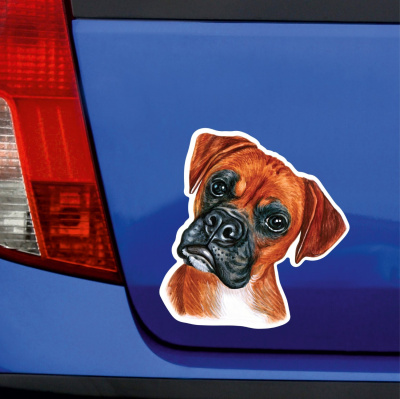 Boxer Aufkleber Bunt - Ansicht 3