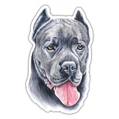 Cane Corso Aufkleber Bunt