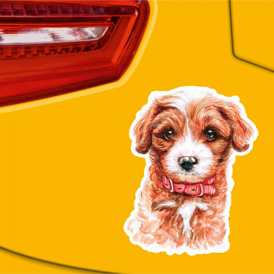 Cavoodle Aufkleber Bunt - Ansicht 2