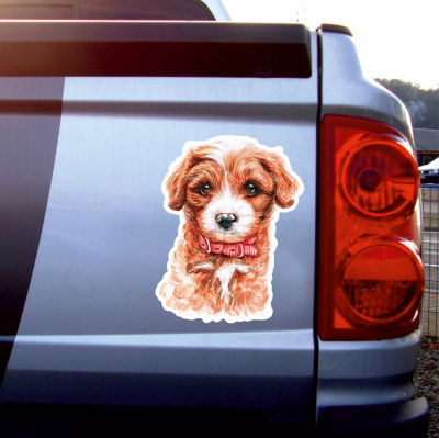 Cavoodle Aufkleber Bunt - Ansicht 3