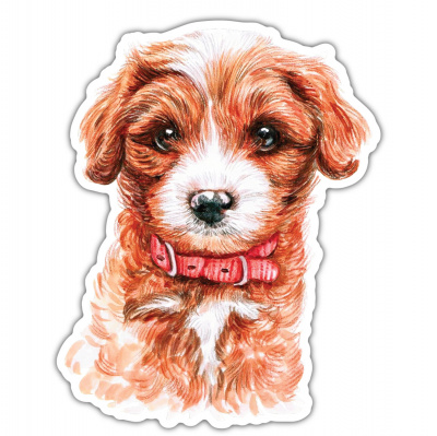 Cavoodle Aufkleber Bunt