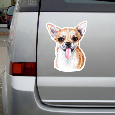 Frecher Chihuahua Aufkleber Bunt - Ansicht 3
