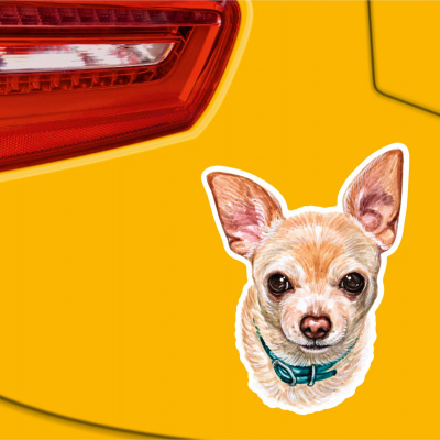 Ser Chihuahua Aufkleber Bunt - Ansicht 2