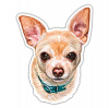 Ser Chihuahua Aufkleber Bunt Aufkleber