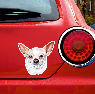 Chihuahua Aufkleber Bunt - Ansicht 3