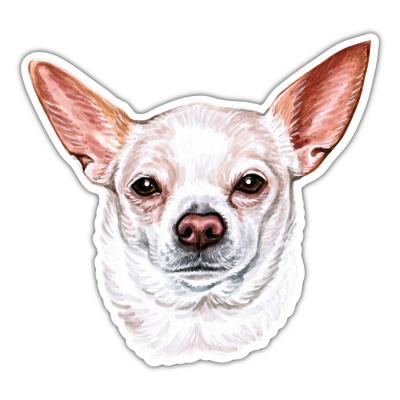 Chihuahua Aufkleber Bunt
