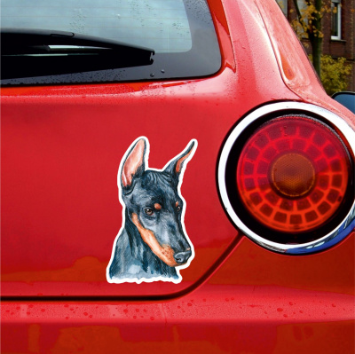 Dobermann Aufkleber Bunt - Ansicht 3