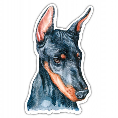 Dobermann Aufkleber Bunt