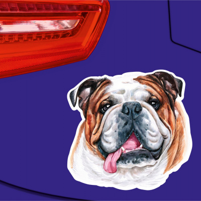 Englische Bulldogge Aufkleber Bunt - Ansicht 2