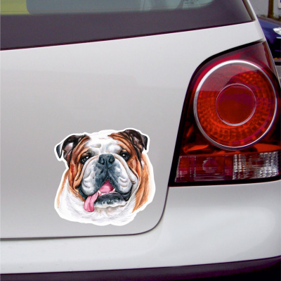 Englische Bulldogge Aufkleber Bunt - Ansicht 3