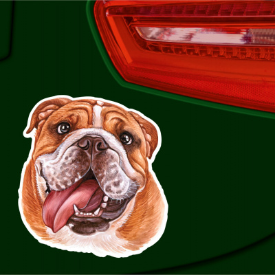 Bulldogge Aufkleber Bunt - Ansicht 2