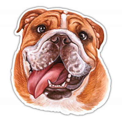 Bulldogge Aufkleber Bunt