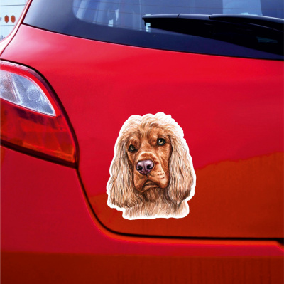 Englischer Cocker Spaniel Aufkleber Bunt - Ansicht 3