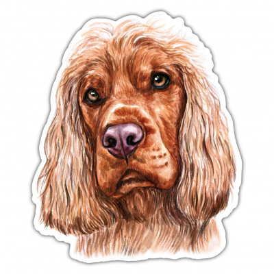 Englischer Cocker Spaniel Aufkleber Bunt