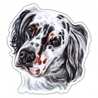 English Setter Aufkleber Bunt