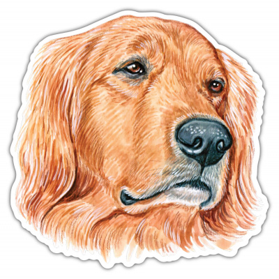 Lustiger Golden Retriever Aufkleber Bunt