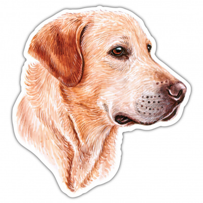 Brauner Labrador Retriever Aufkleber Bunt