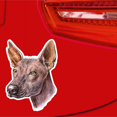 Xoloitzcuintle Xolo Aufkleber Bunt - Ansicht 2