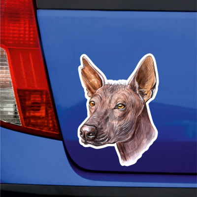 Xoloitzcuintle Xolo Aufkleber Bunt - Ansicht 3
