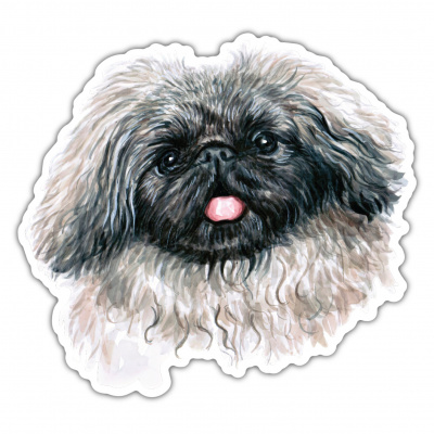 Pekingese Aufkleber Bunt