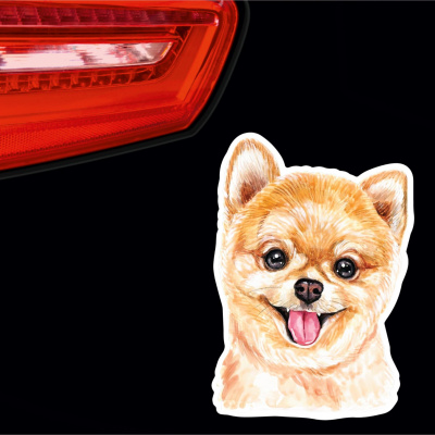 Deutscher Spitz Pomeranian Aufkleber Bunt - Ansicht 2