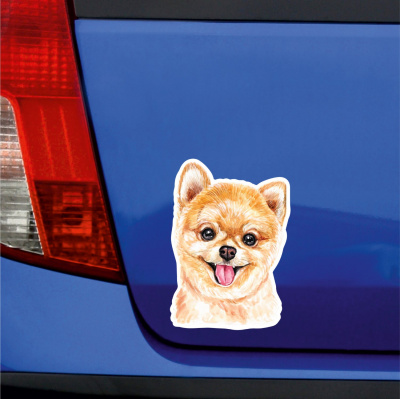Deutscher Spitz Pomeranian Aufkleber Bunt - Ansicht 3