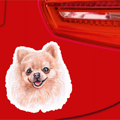 Pomeranian Spitz Aufkleber Bunt - Ansicht 2