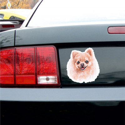 Pomeranian Spitz Aufkleber Bunt - Ansicht 3