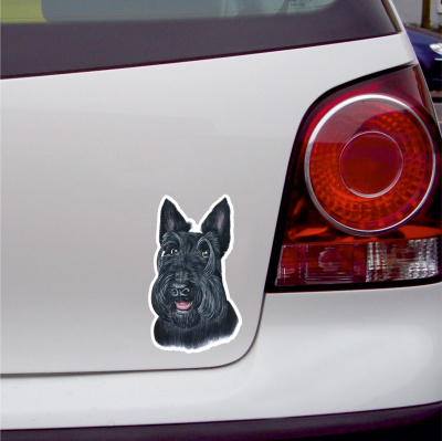 Scottish Terrier Aufkleber Bunt - Ansicht 3