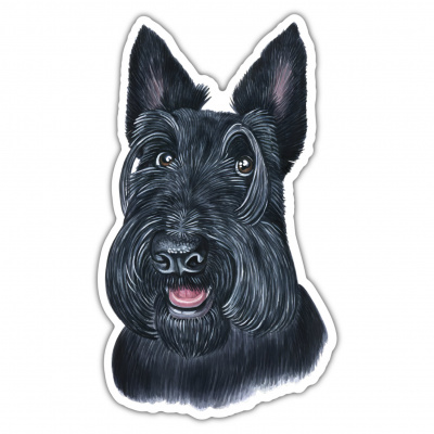 Scottish Terrier Aufkleber Bunt