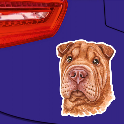 Shar-Pei Aufkleber Bunt - Ansicht 2