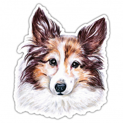 Shetland Sheepdog Sheltie Aufkleber Bunt