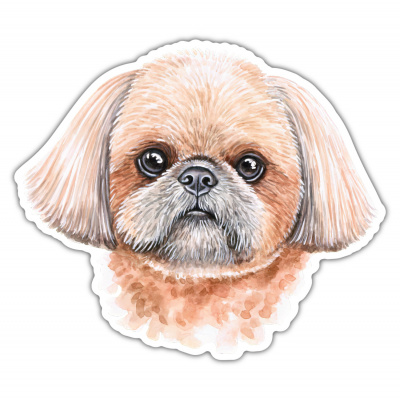 Shih Tzu Aufkleber Bunt