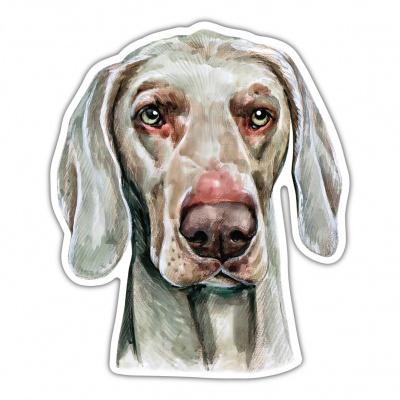 Weimaraner Aufkleber Bunt