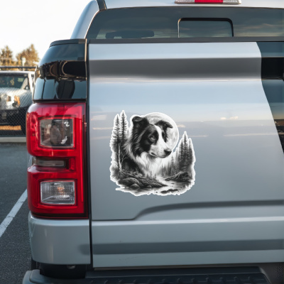 Border Collie im Wald Aufkleber Bunt - Ansicht 2
