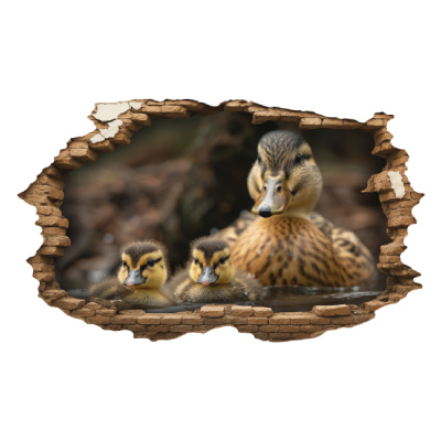 Buntes Wandtattoo  Wandriss mit Enten Familie 