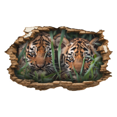 Buntes Wandtattoo  Wandriss mit Tiger Babys 