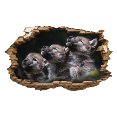 Buntes Wandtattoo  Wandriss mit Wolf Welpen 