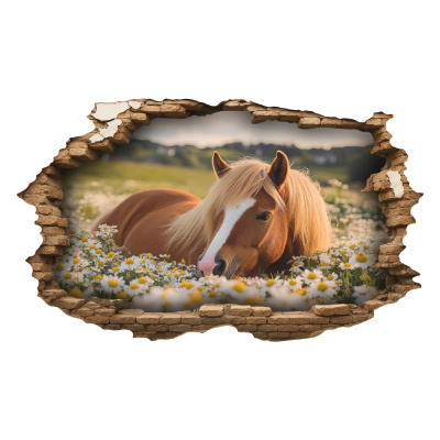 Buntes Wandtattoo  Wandriss mit Pferd mit Gnseblmchen 