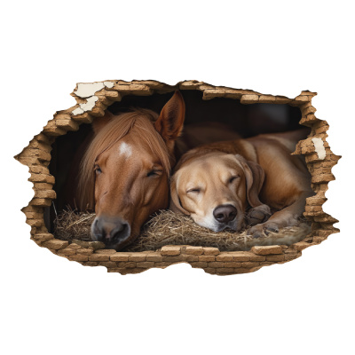 Buntes Wandtattoo  Wandriss mit Pferd und Hund in Stall 