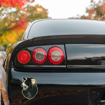Border Collie im Wald Aufkleber Bunt - Ansicht 3