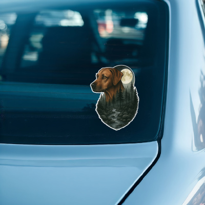 Rhodesian Ridgeback im Wald Aufkleber Bunt - Ansicht 3