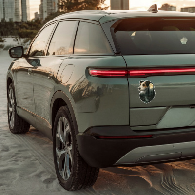 Parson Russell Terrier im Wald Aufkleber Bunt - Ansicht 4