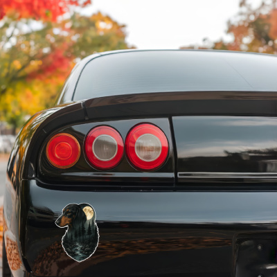 Dackel im Wald Aufkleber Bunt - Ansicht 3