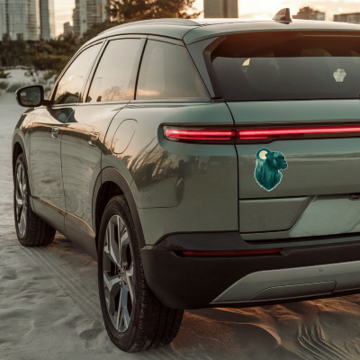 Boxer im Mondwald Aufkleber Bunt - Ansicht 4