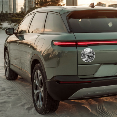 B�r in der Wildnis Aufkleber Bunt - Ansicht 4