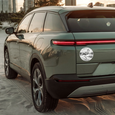 Flamingo in der Wildnis Aufkleber Bunt - Ansicht 4